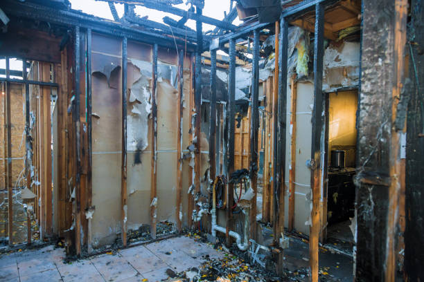 Professional Fire Damage Removal technician working in Potomac, MD