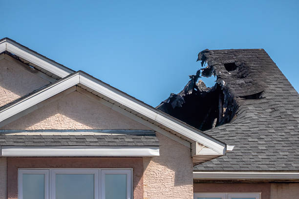 Top rated local Fire Damage Removal specialists in Potomac, MD